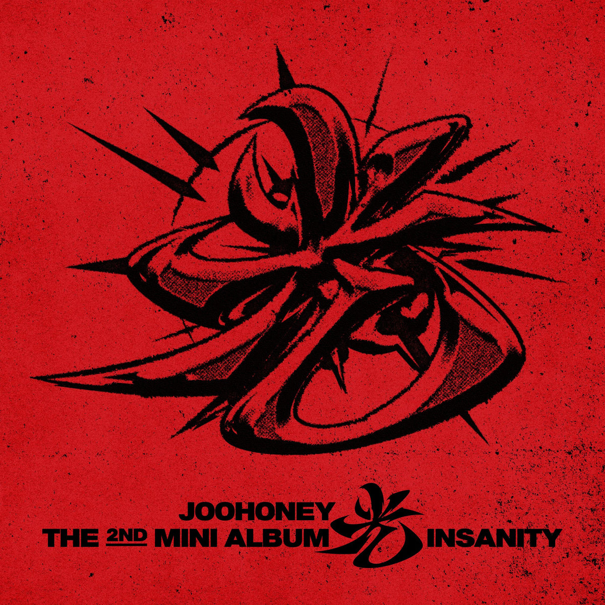 JOOHONEY | 주헌 | 2nd Mini Album [ 光 (INSANITY) ]