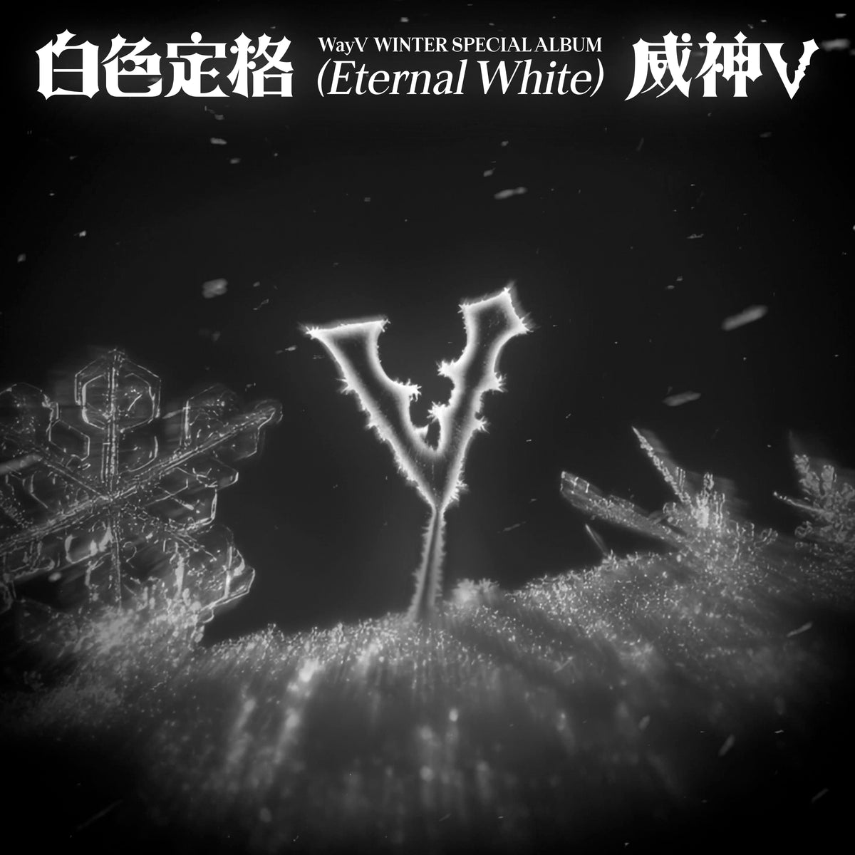 WAYV | 웨이션브이 | Winter Special Album [ 白色定格 (Eternal White) ] Photobook Ver
