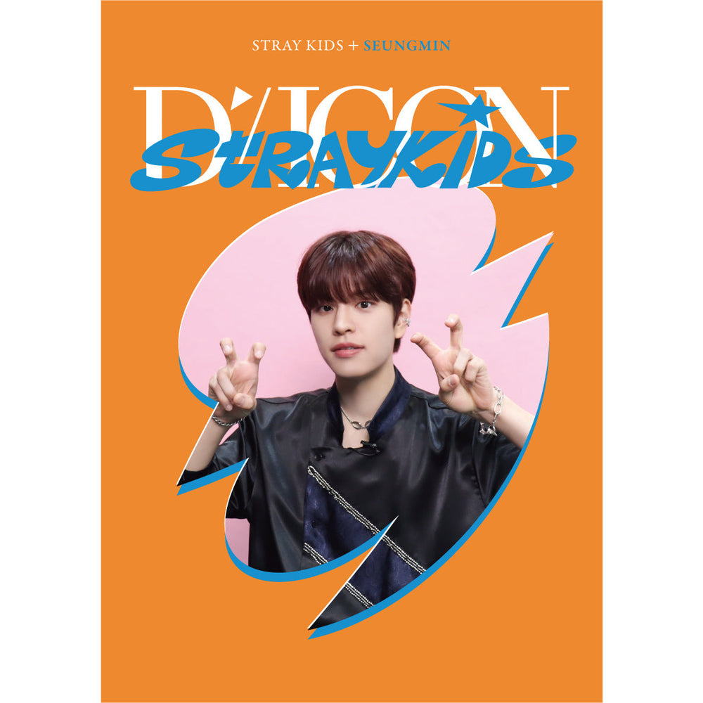 STRAY KIDS | 스트레이키즈 | DICON D'FESTA MINI EDITION – KPOP
