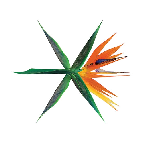 EXO | 엑소  | 4th Album  : THE WAR