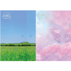 BTOB SEO EUNKWANG | 비투비 서은광 | 1st Mini Album : FOREST : ENTRANCE